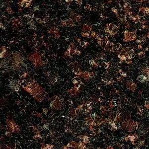 Елизовский